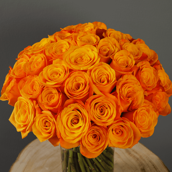 Bunch of Orange Roses-2 Bunch of Orange Roses