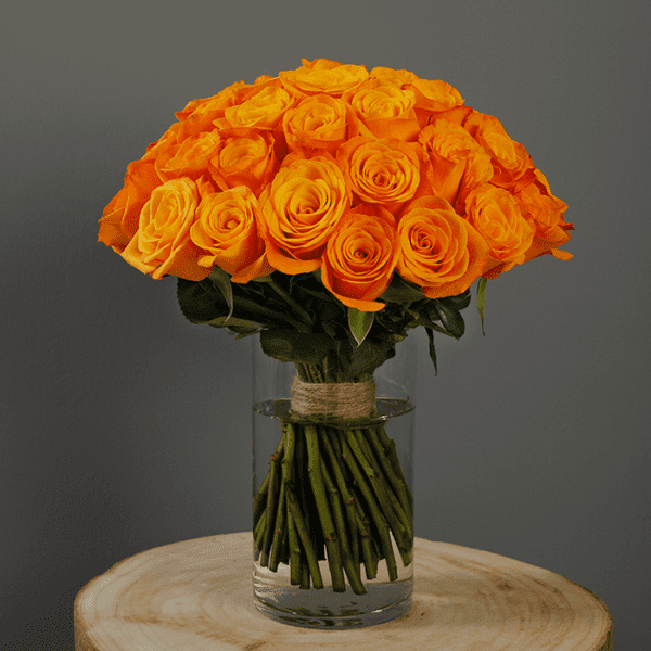 Bunch of Orange Roses Orange Roses in a Vase