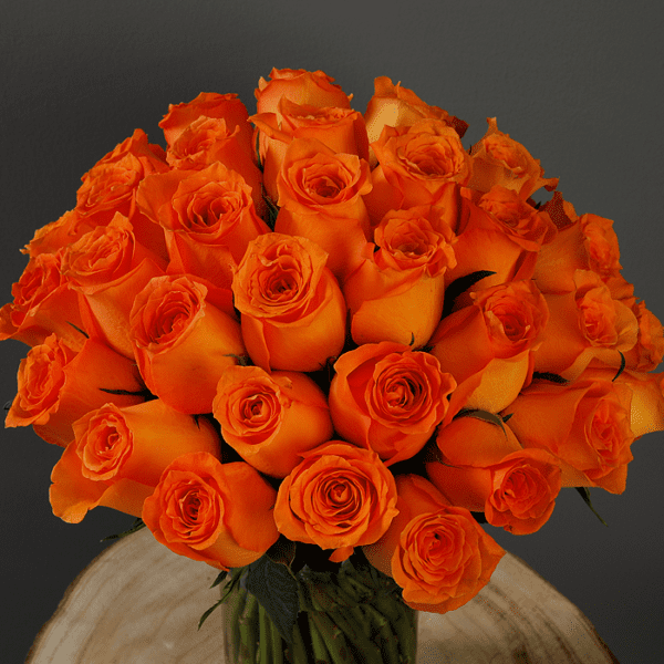 Bunch of Spritz Roses-2 Bunch of Spritz Roses