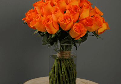 Bunch of Spritz Roses