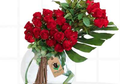 Luxury Red Roses