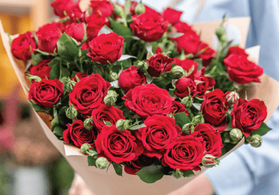 Mix Roses and Spray Roses
