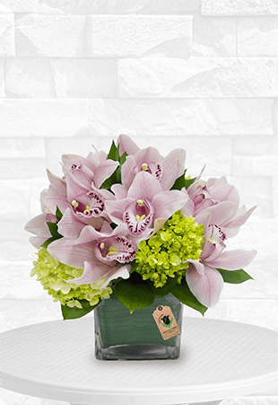 Pink Cymbidium Pink Cymbidium in vase