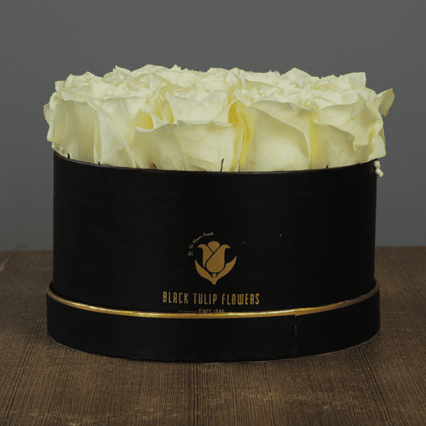 White Roses in Black Box- White Roses in Black Box