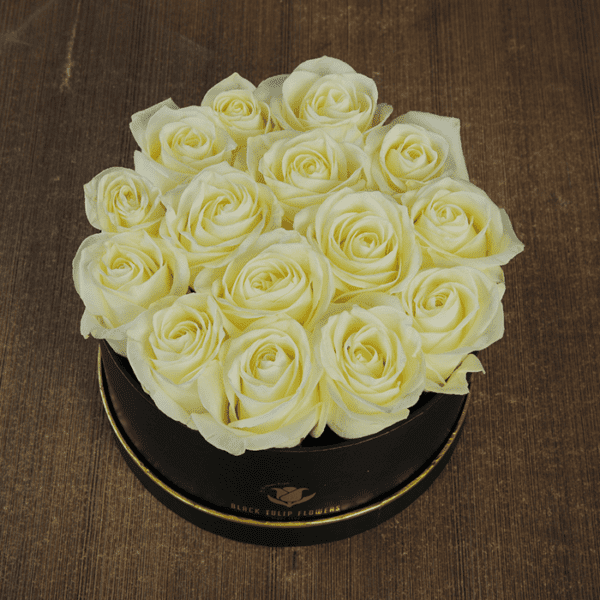 White Roses in Black Box-1 White Roses in Black Box