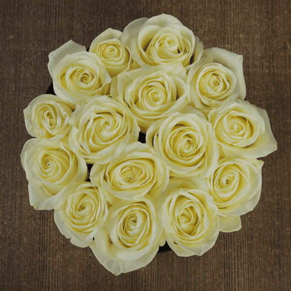 White Roses in Black Box-2 White Roses in Black Box