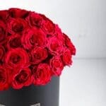 Classic Red (2)