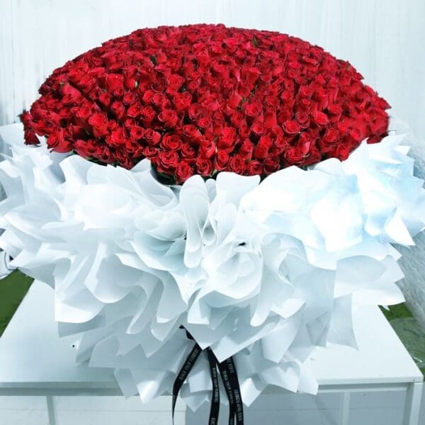 Pure Romance (700 Red Roses Bouquet )-2 Pure Romance (700 Red Roses Bouquet) by Black Tulip Flowers