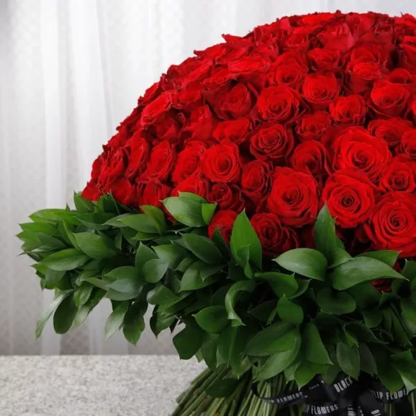 500 Red Roses for Valentine’s-3 500 Red Roses for Valentine’s Bouquet by Black Tulip Flowers