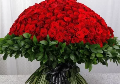 500 Red Roses for Valentine’s Bouquet by Black Tulip Flowers