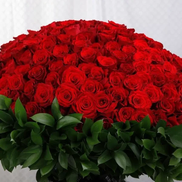 500 Red Roses for Valentine’s-5 500 Red Roses for Valentine’s Bouquet by Black Tulip Flowers