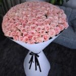 Graceful Roses (3)