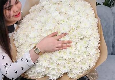 Chrysanthemum flower delivery online qatar