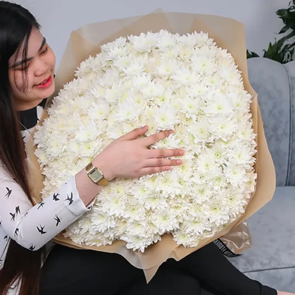 Whitening-Beauty-Chrysanthemum-2 Chrysanthemum flower delivery online qatar