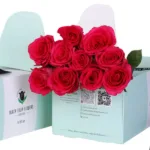 Dark-Pinky-Green-Box-1-600x600