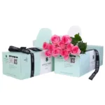 Pinky-Green-Box-1-600x600