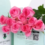 Pinky-Green-Box-2-600x600