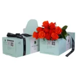 Spritz-Green-Box-1-600x600