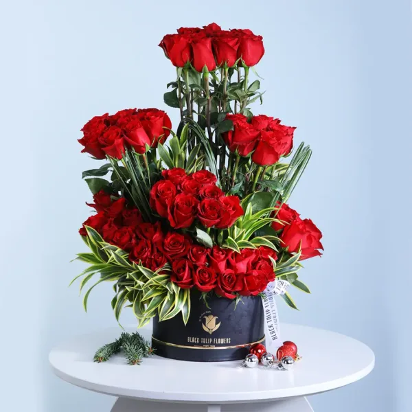 01-7 Red Roses for christmas