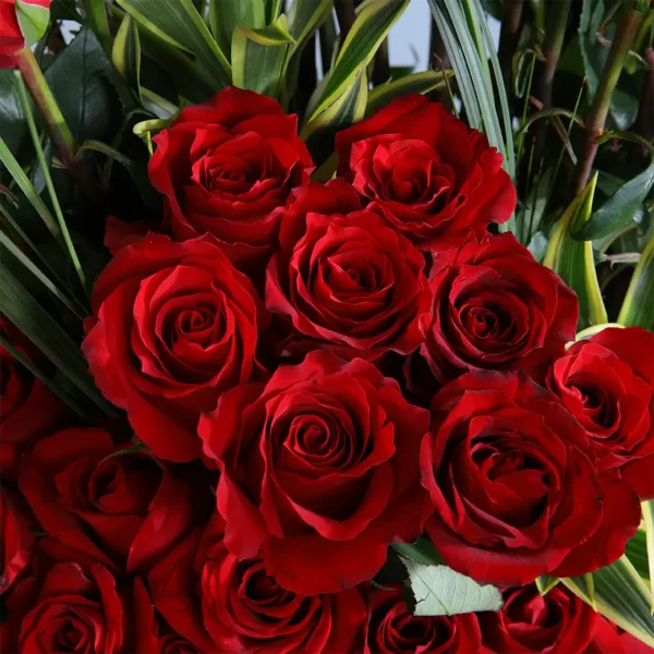 04-5 Red Roses in a box