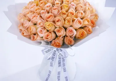 100 Peach Roses online delivery in qatar