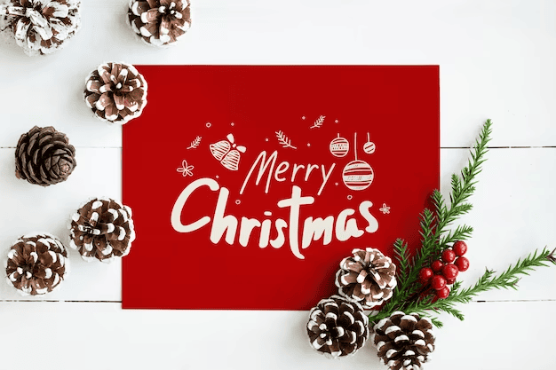 Send Christmas Flowers