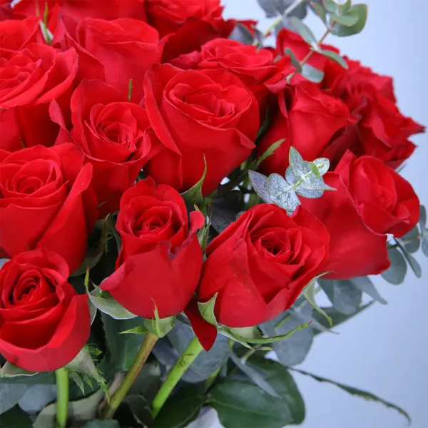 02-77 red roses in vase