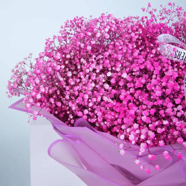 Pink Gypsophila Bouquet2 Pink Gypsophila Bouquet online delivery