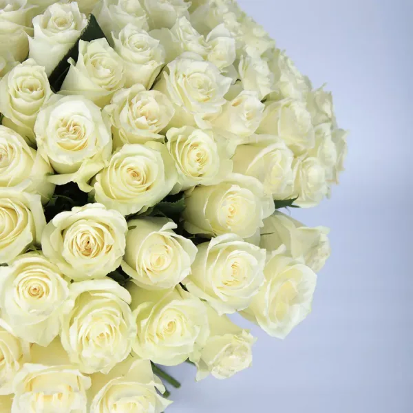 Tempting white roses bouquet3 Tempting White Roses Bouquet