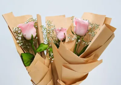 Single Pink Rose Wrapped with Gypso