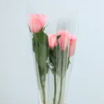 01-019