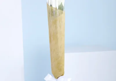 A solitary white rose, delicately wrapped in lush green foliage, representing elegance and grace.