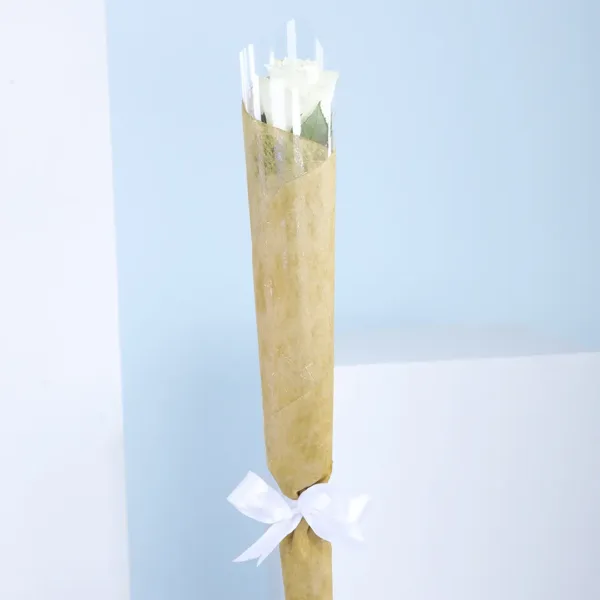 01-42 A solitary white rose, delicately wrapped in lush green foliage, representing elegance and grace.