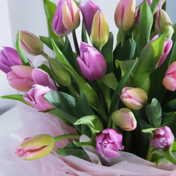 02-9-1080x1080 Purple tulips in black box
