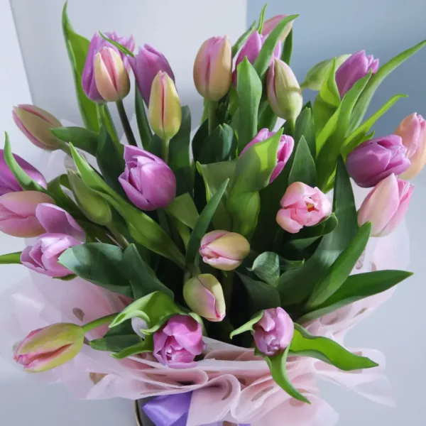 Files-1080x1080 Purple tulips