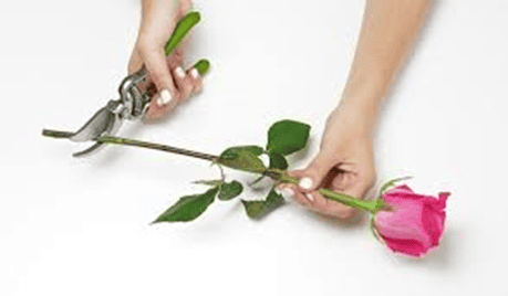 Bouquet-Making