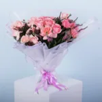 01-23 (1)