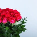 Romantic Fresh Pink Roses-02