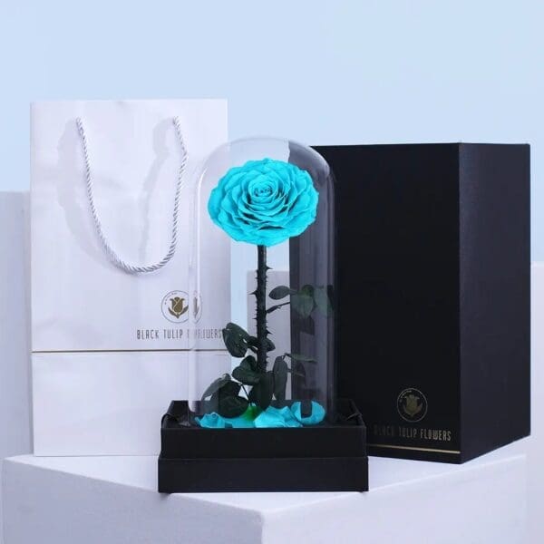 1 Light Blue preserved forever rose displayed under glass dome