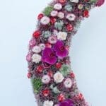 crescent-bloom-harmony_05