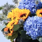 sunflower-hydrangea-bold-box_04