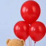 romantic-red-rose-teddy-combo_04