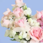blushing-blooms-box-blueberry-cheese-cake_02