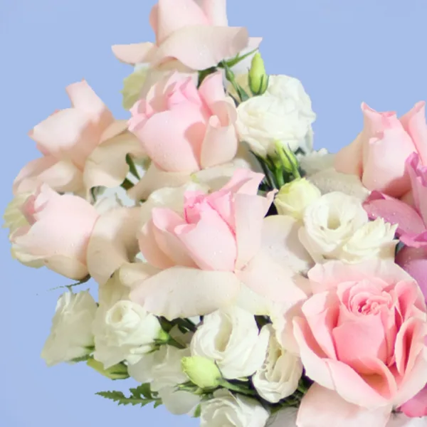 blushing-blooms-box-blueberry-cheese-cake_02
