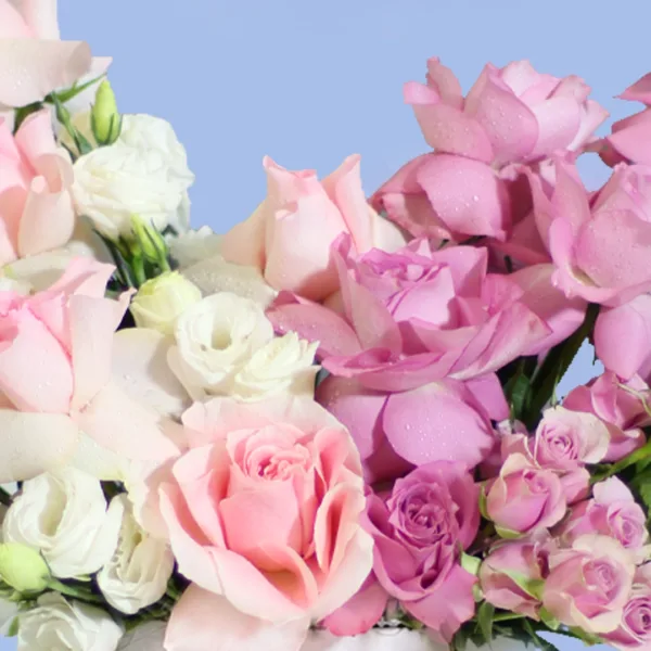 blushing-blooms-box-blueberry-cheese-cake_04