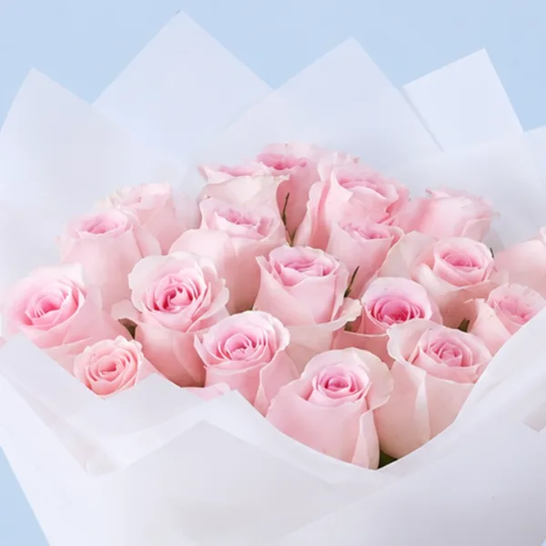 pink-roses-chocolate-teddy-combo_04
