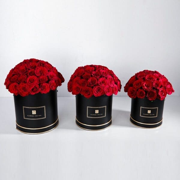 Classic Trio (2) Classic Trio red rose box by Black Tulip Flowers