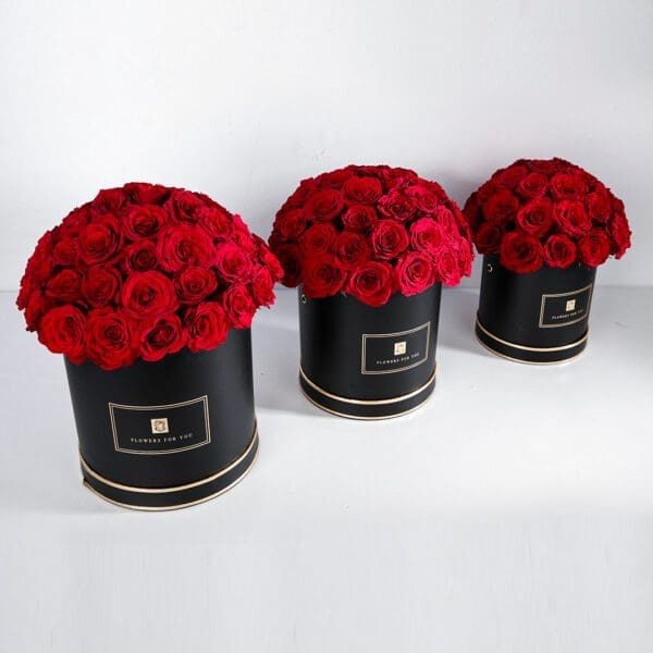 Classic Trio (3) Red Roses in Black Box