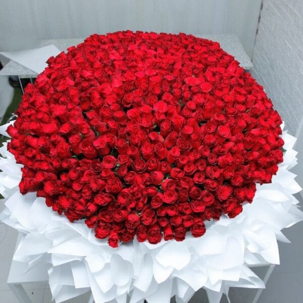 Pure Romance (700 Red Roses Bouquet ) Pure Romance (700 Red Roses Bouquet) by Black Tulip Flowers