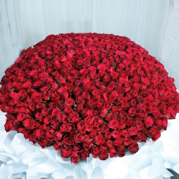Pure Romance (700 Red Roses Bouquet )-1 Pure Romance (700 Red Roses Bouquet) by Black Tulip Flowers